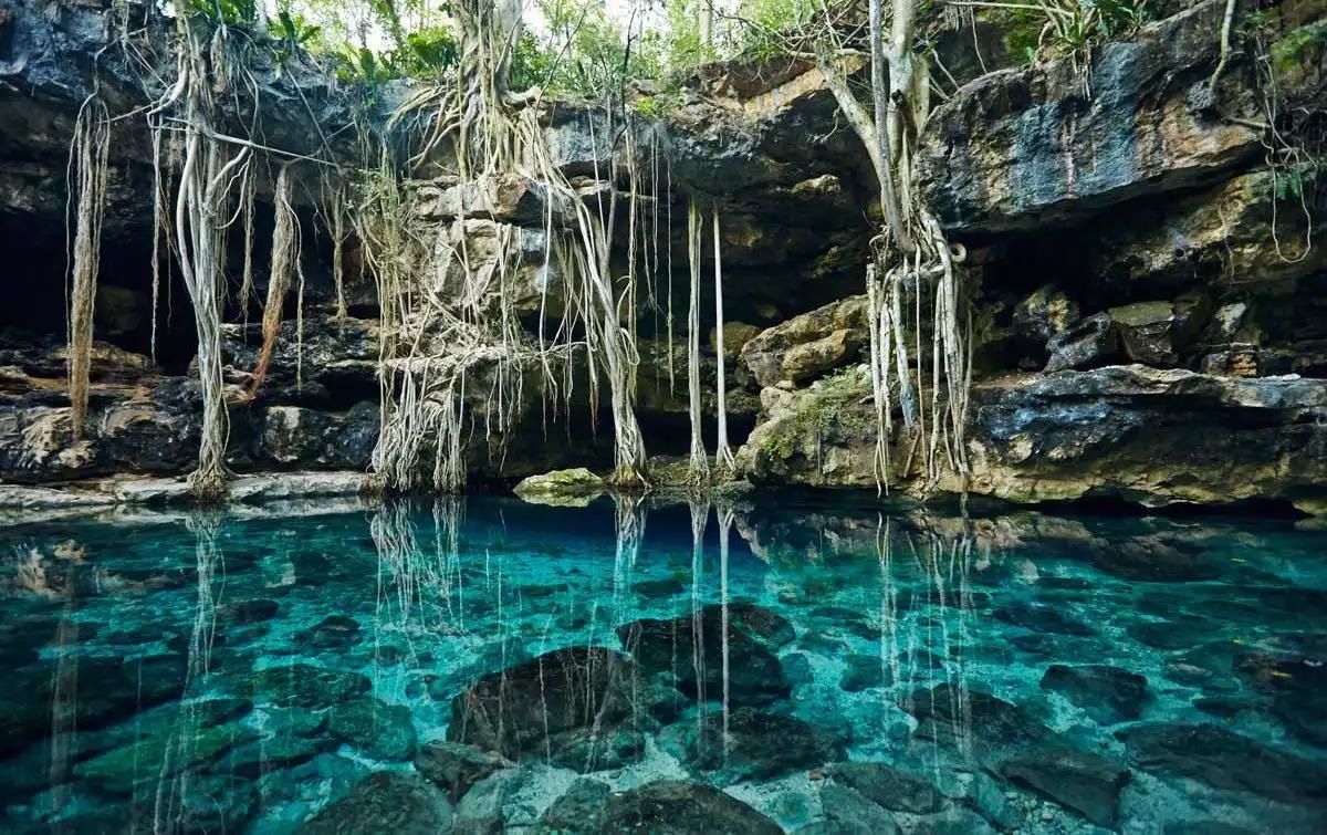 Uno de los Cenotes de Yucatán mas bonitos